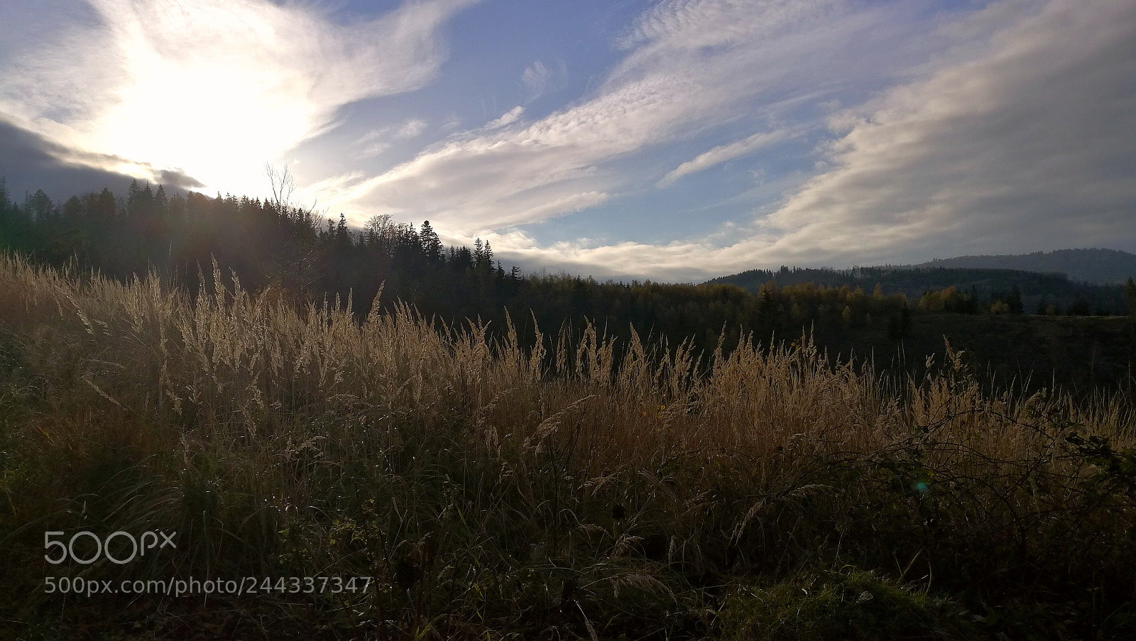 HUAWEI Honor 8 sample photo. Autumn evening photography