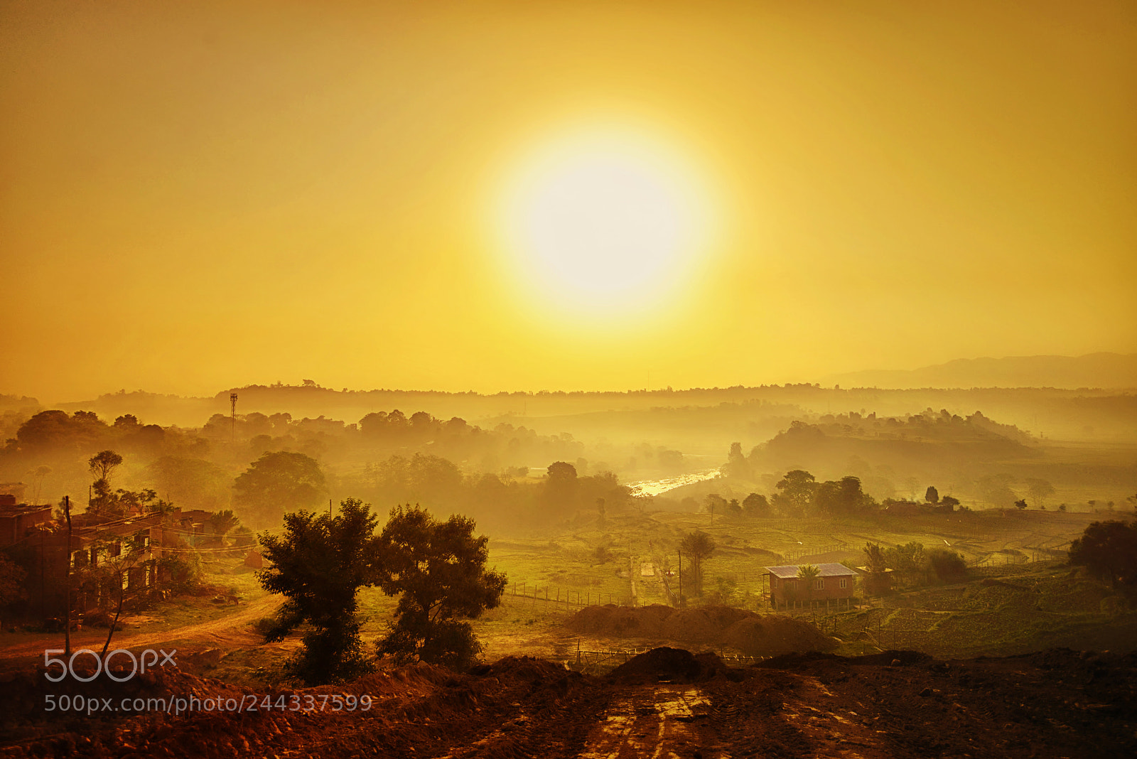 Nikon D800E sample photo. Misty dawn photography