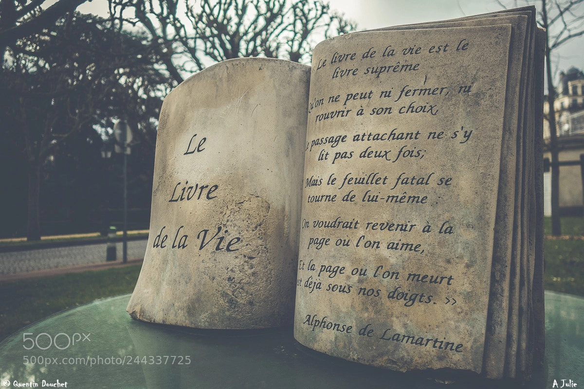 Sony Cyber-shot DSC-RX100 II sample photo. St le aux donneurs photography
