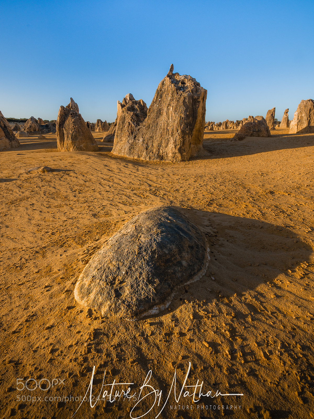 Nikon D7200 sample photo. The pinnacles desert photography