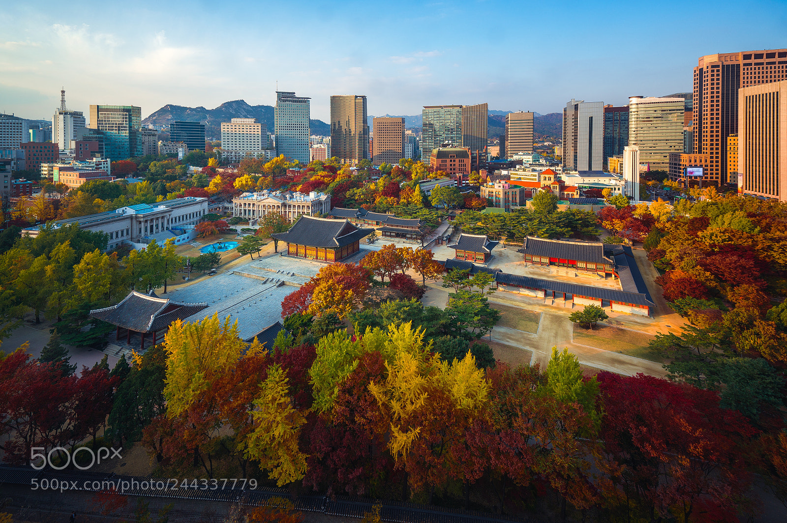 Sony a7R II sample photo. Autumn park and temple photography