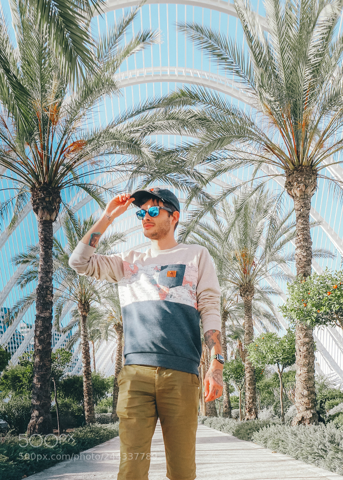 Sony a6500 sample photo. Valencia palm trees photography