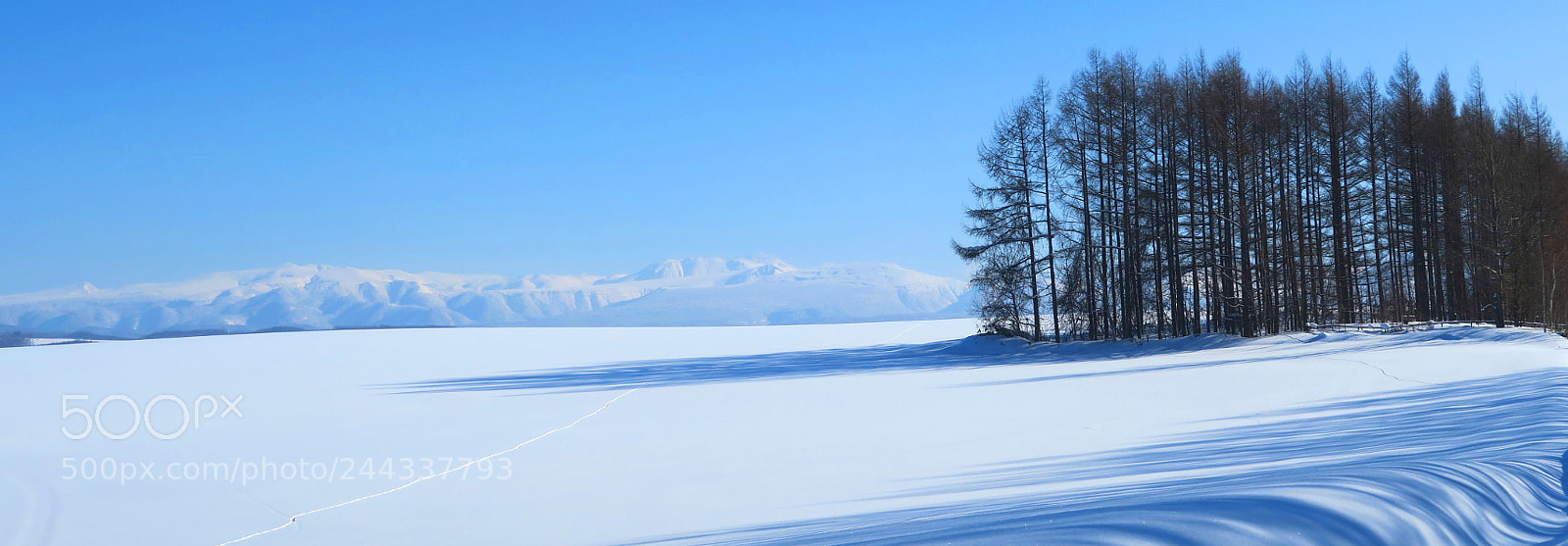 Canon PowerShot G7 X sample photo. Hokkaido x winter photography