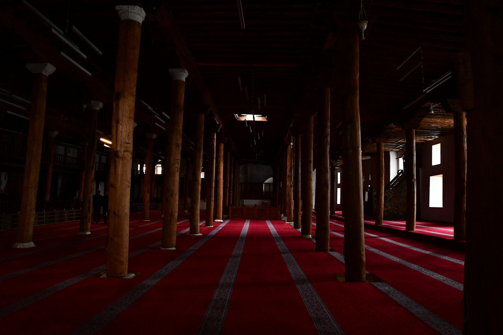 Nikon D7500 sample photo