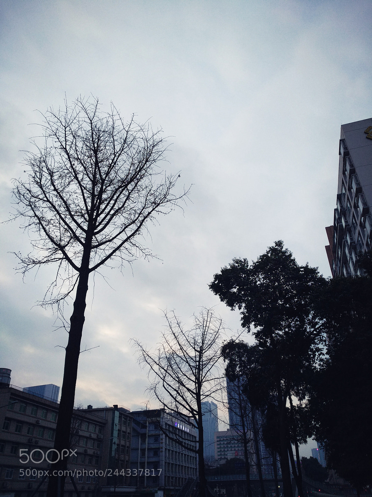 Xiaomi MI MAX 2 sample photo. Untitled photography