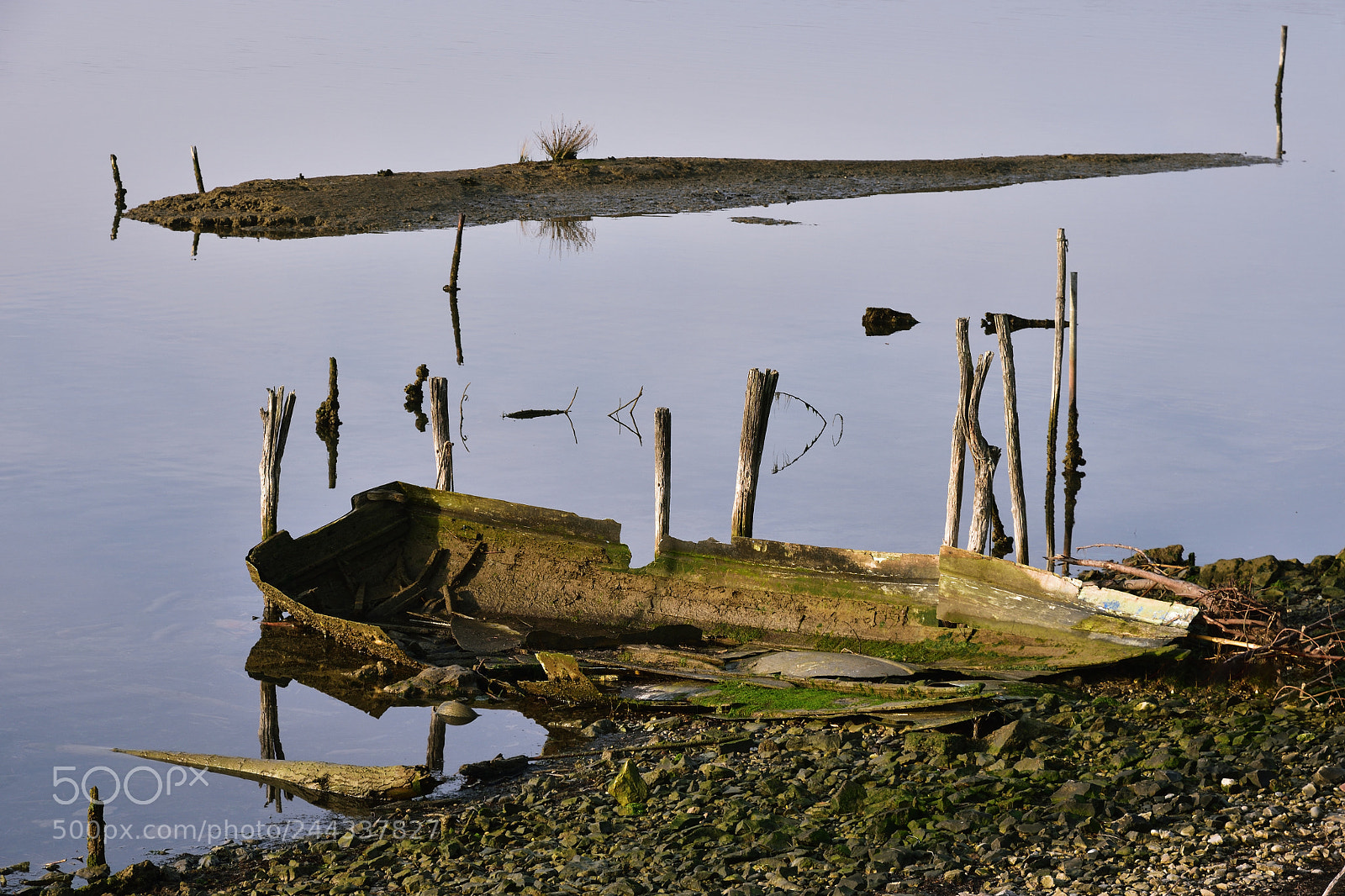 Nikon D7200 sample photo. Canale averto photography