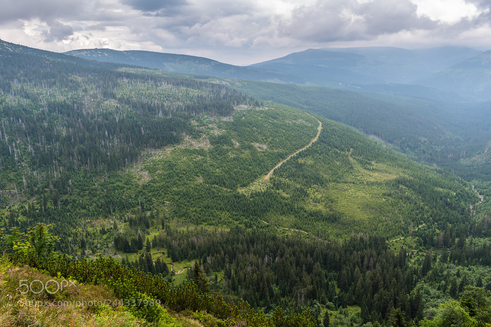 Nikon D5500 sample photo. Beautiful view of krkonose photography