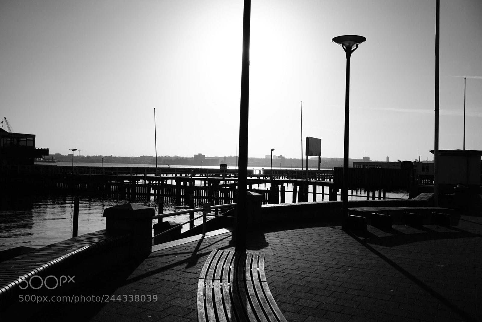 Sony a7 sample photo. Morning sun photography