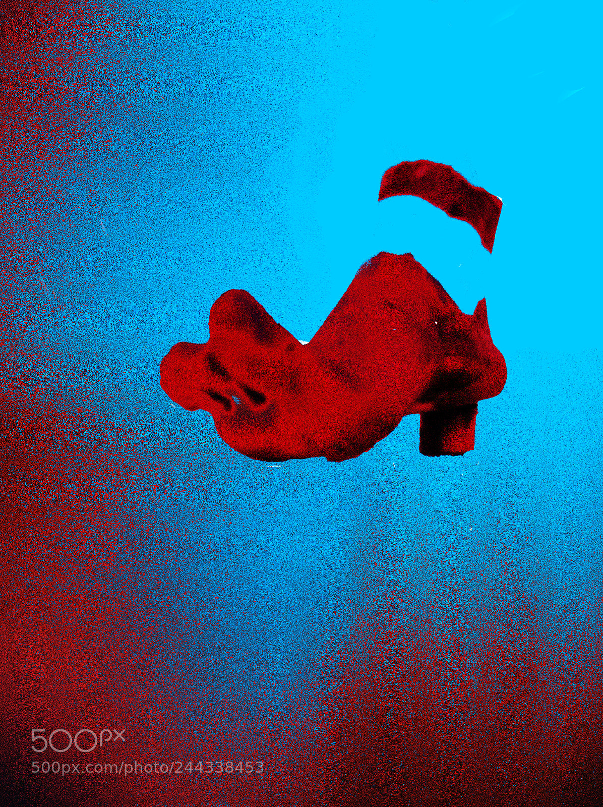 Nikon D5100 sample photo. Neon photography