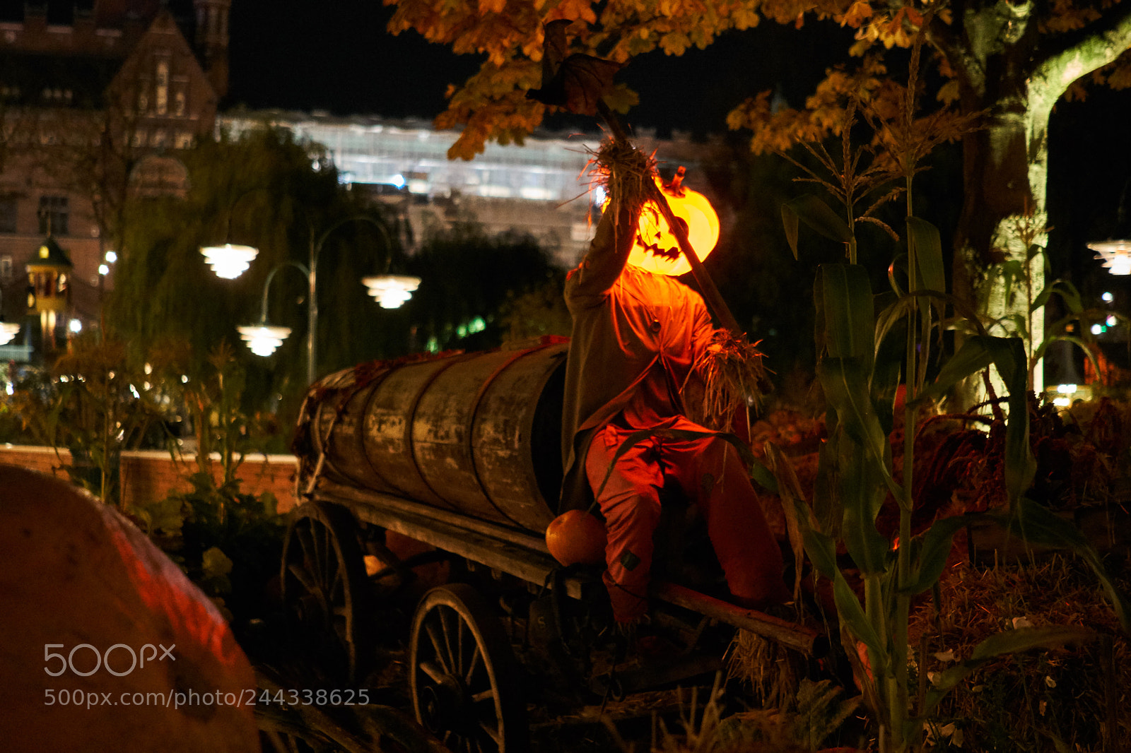 Sony a6300 sample photo. Pumpkin man photography