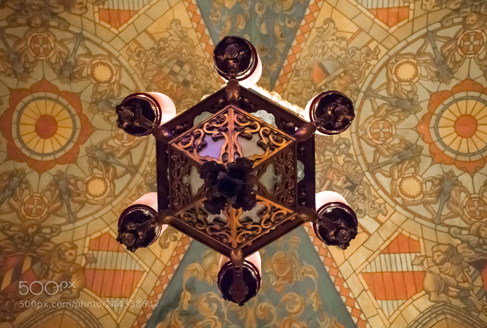 Nikon D7200 sample photo. Looking up at the photography