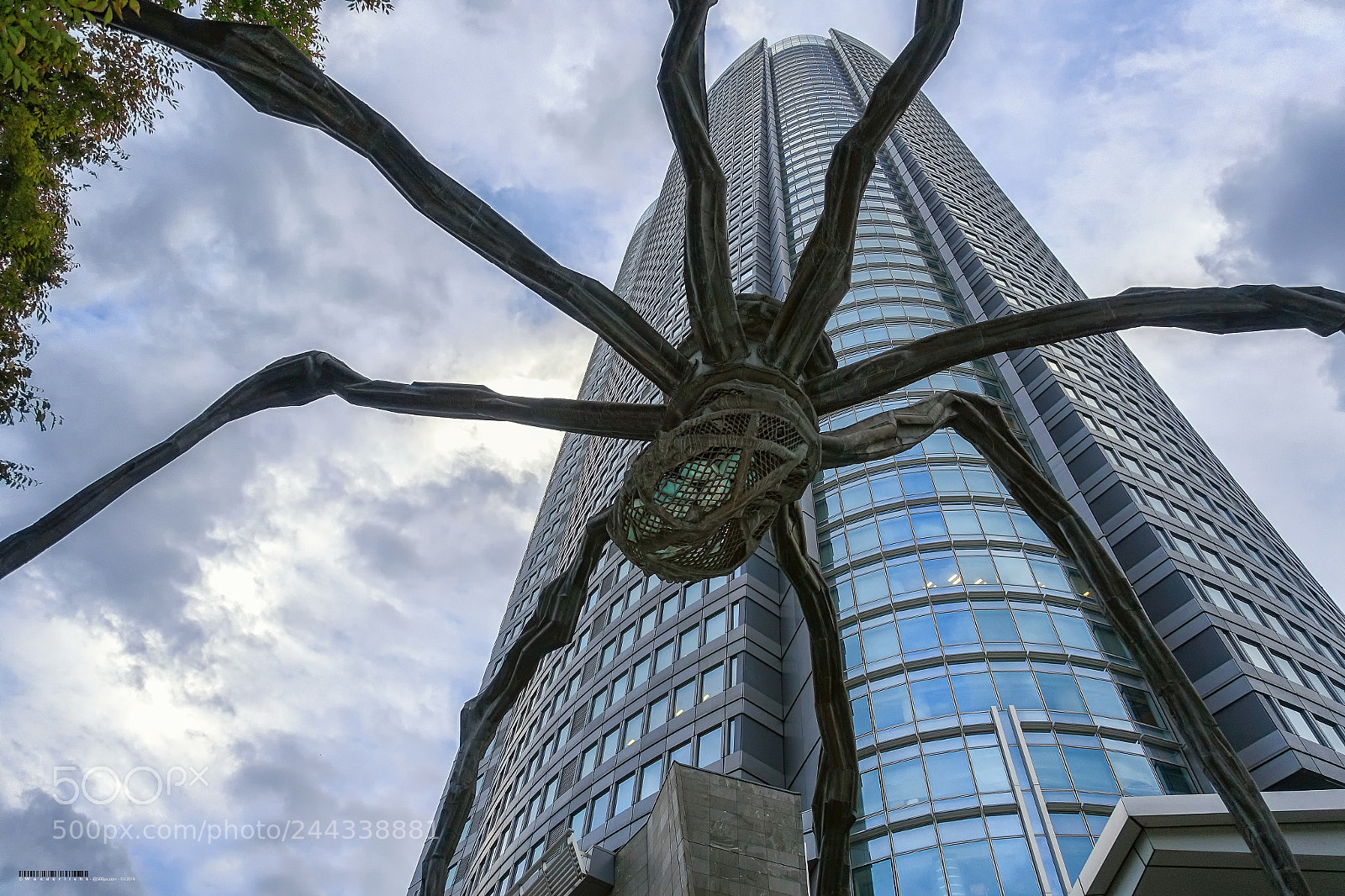Sony Cyber-shot DSC-RX100 III sample photo. Maman spider i photography