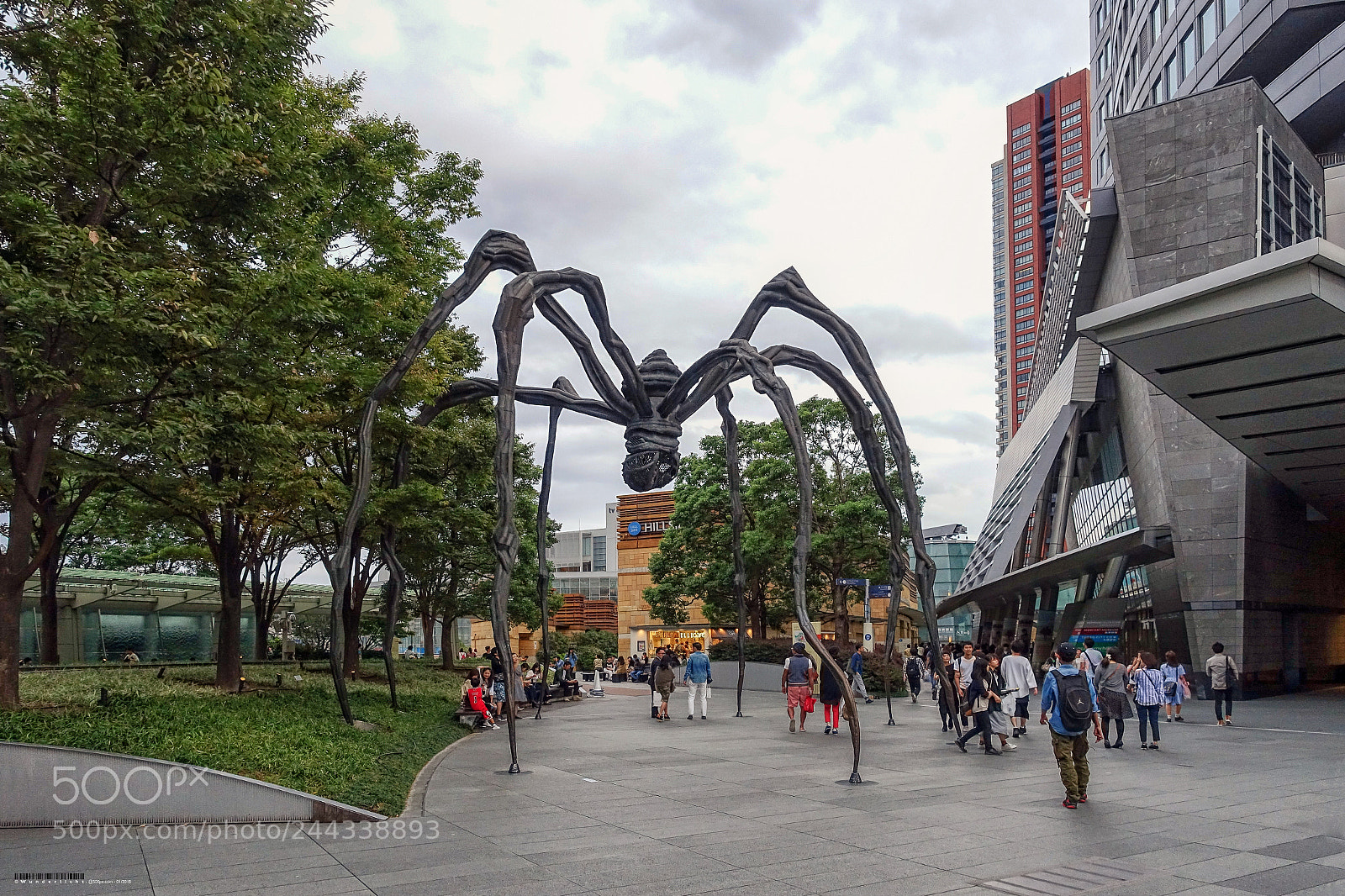 Sony Cyber-shot DSC-RX100 III sample photo. Maman spider ii photography