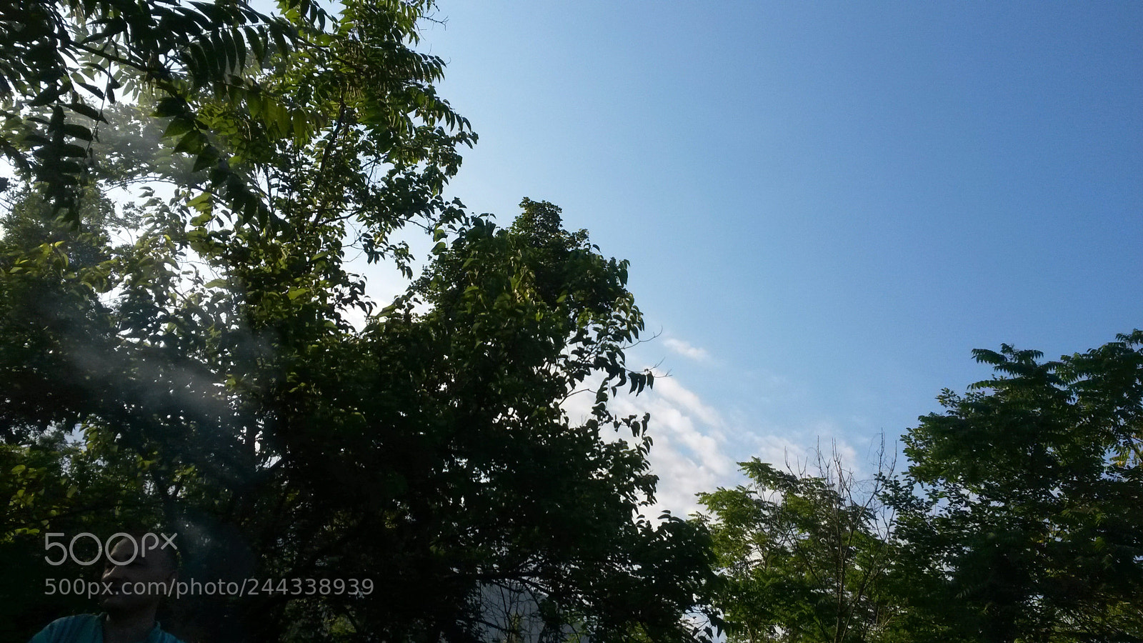 Samsung Galaxy S4 Mini sample photo. Sunny photography