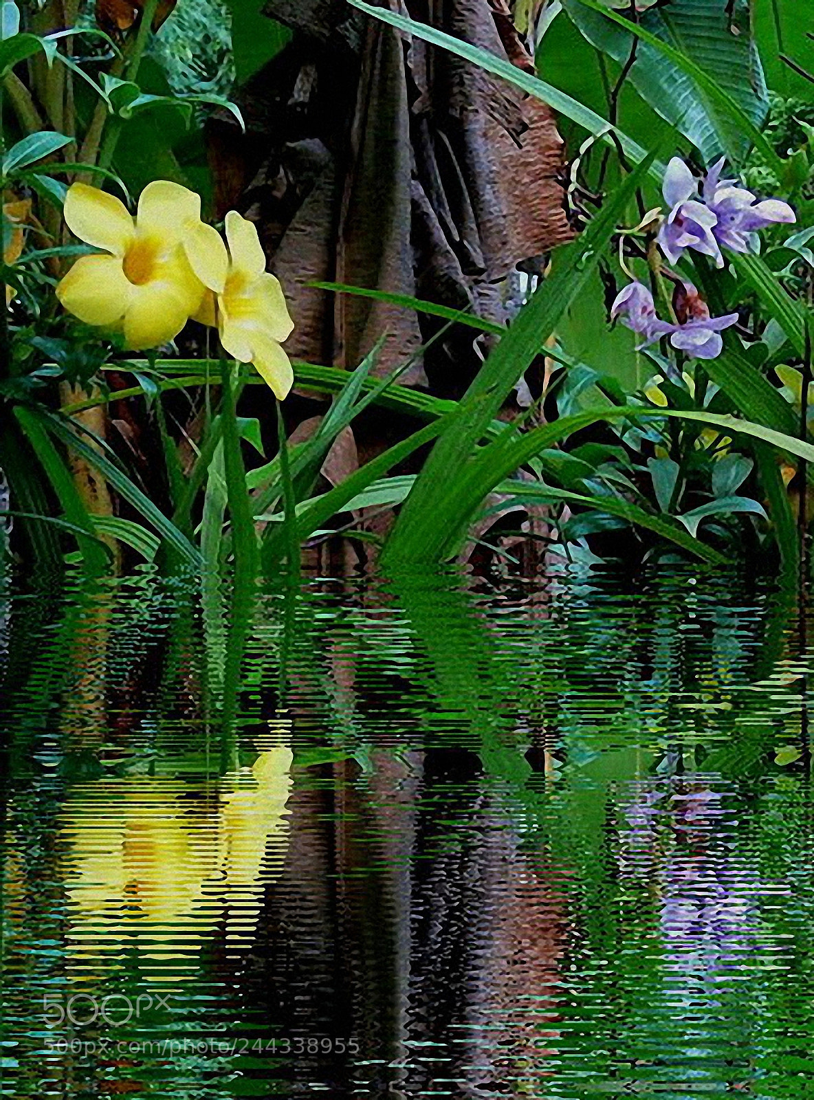 Panasonic DMC-FZ30 sample photo. Fragment of a dream photography