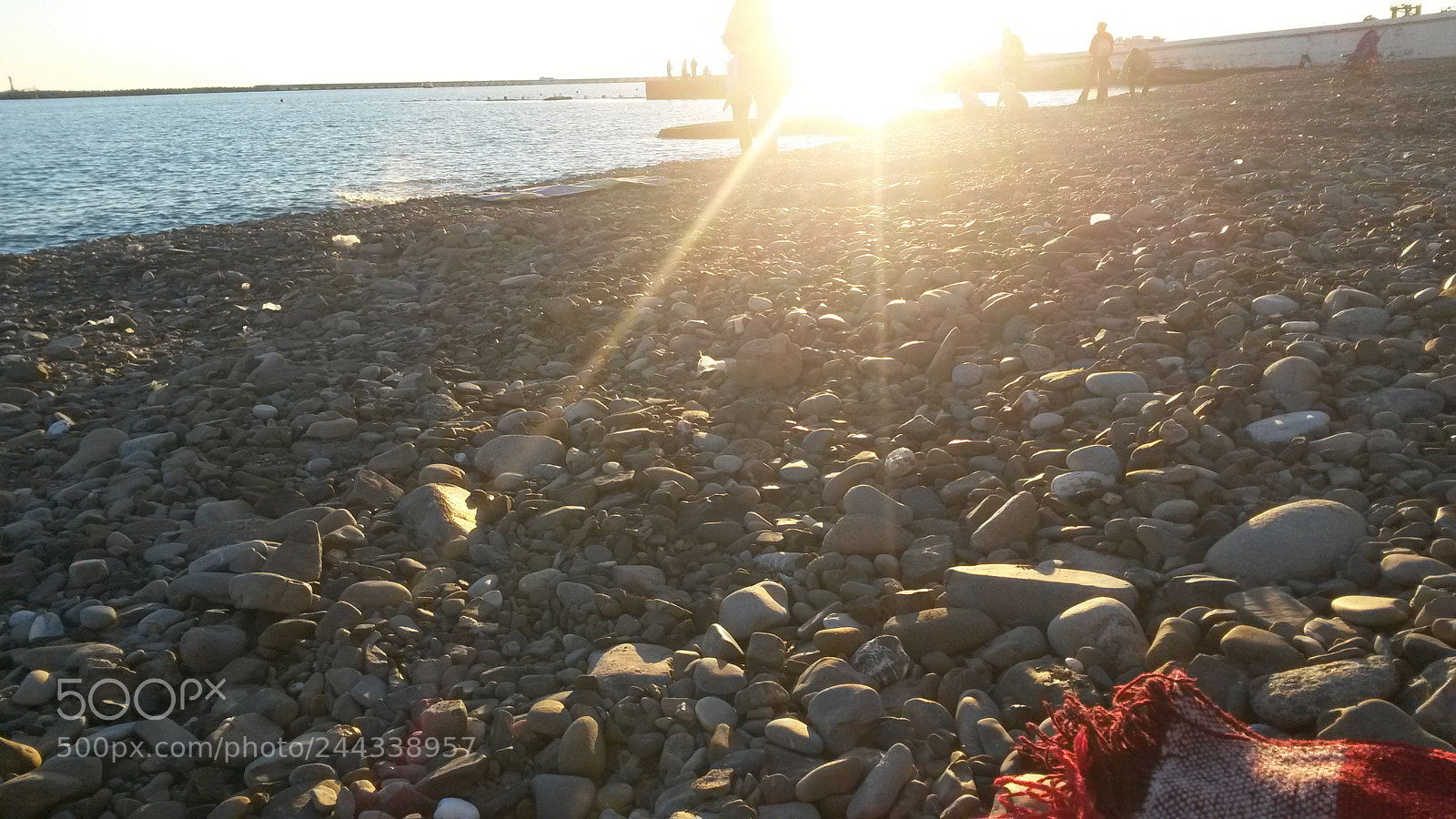 Samsung Galaxy S4 Mini sample photo. Never alone photography