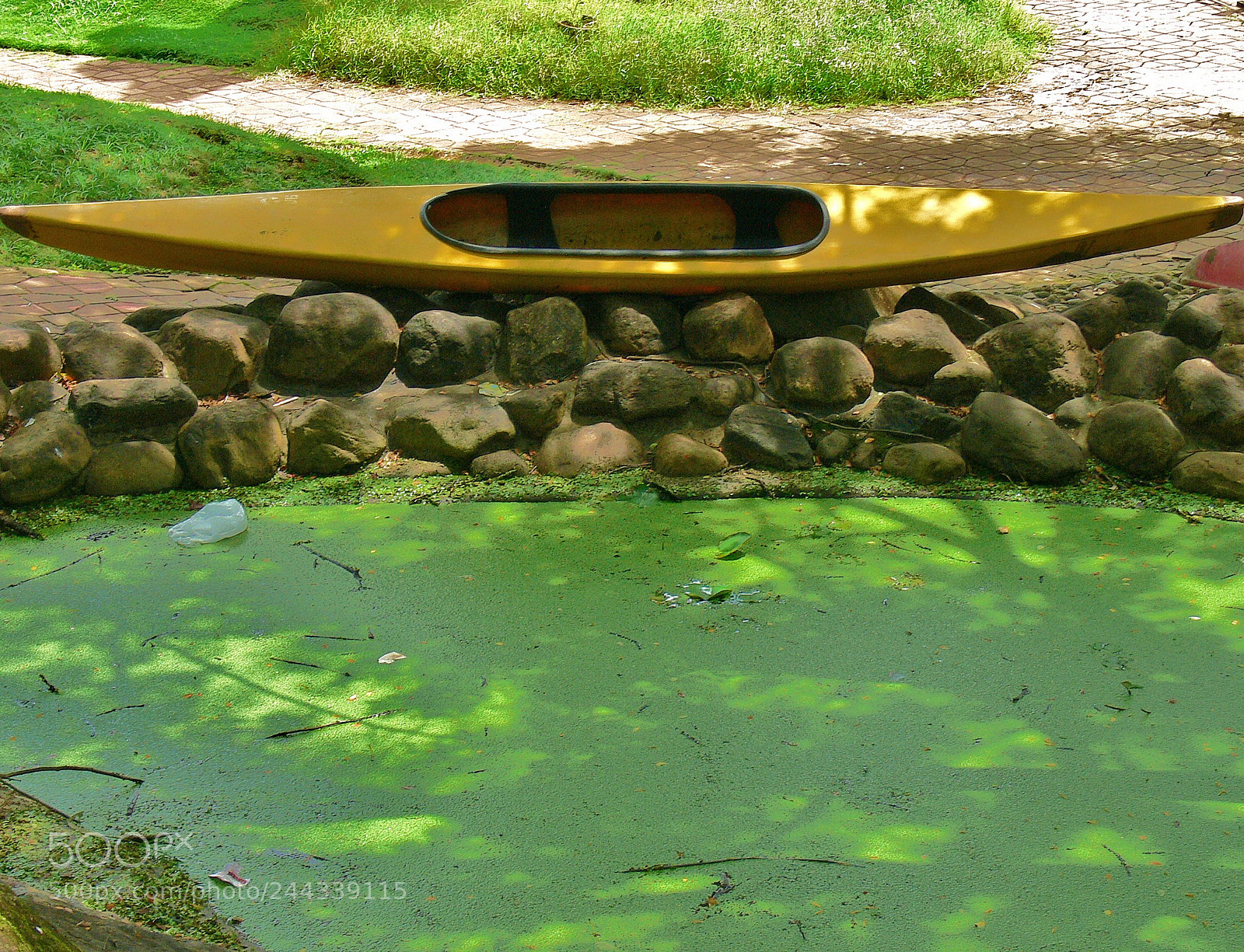 Panasonic DMC-FZ30 sample photo. Life is such a photography