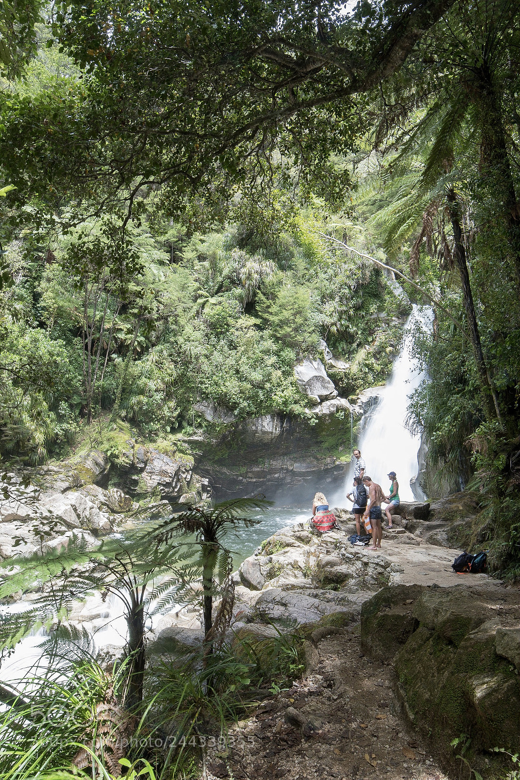 Nikon D500 sample photo. Wainui falls photography