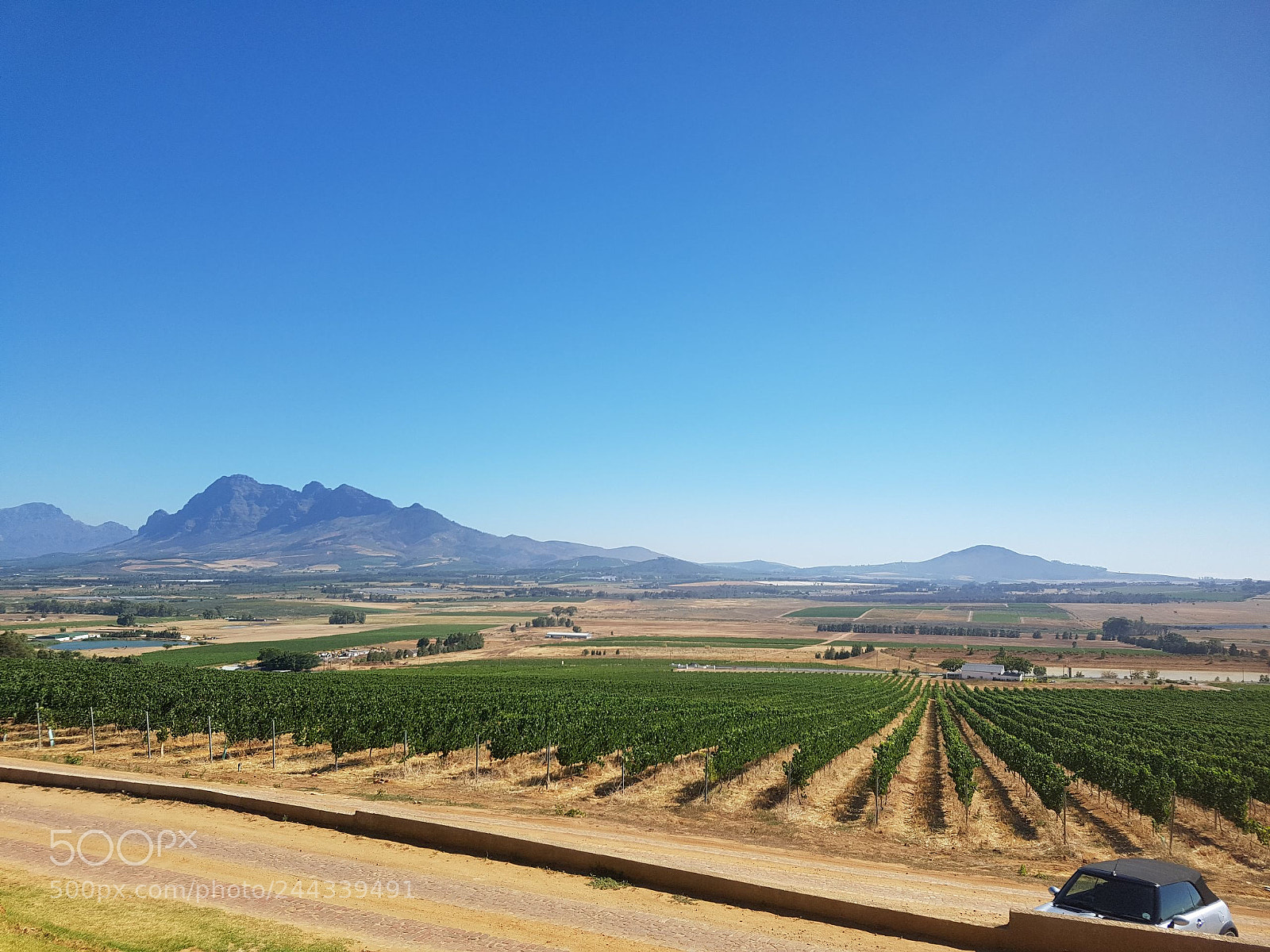 Samsung Galaxy S7 Edge sample photo. Winelands photography