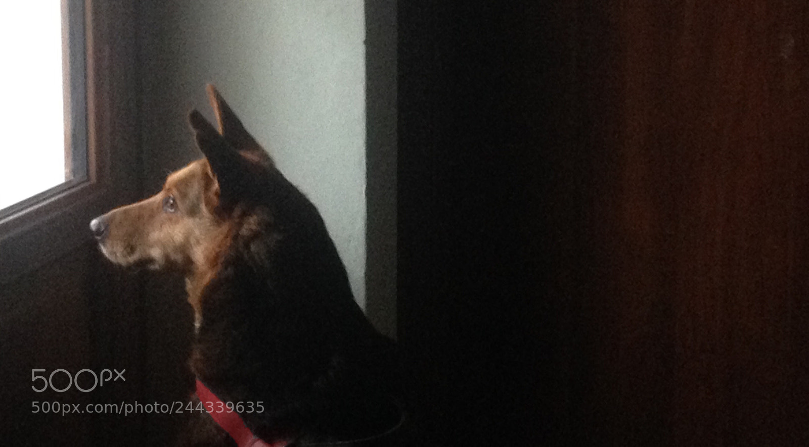 Apple iPhone 4S sample photo. Circe photography