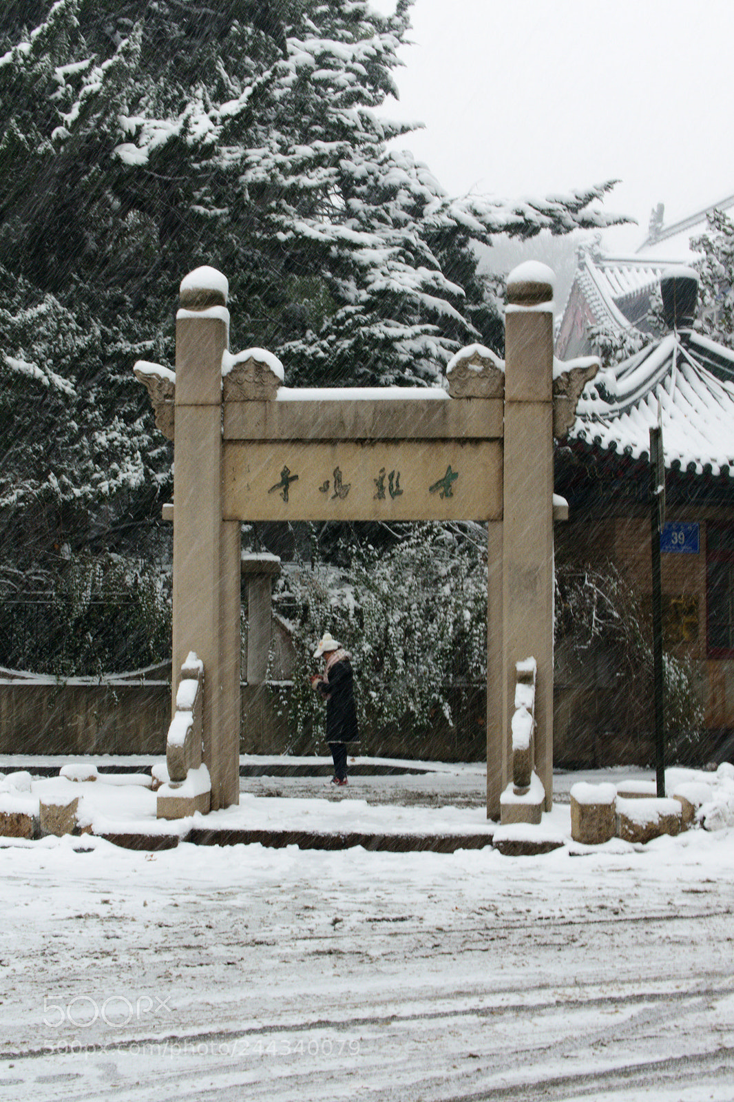 Nikon 1 J5 sample photo. 雪 photography