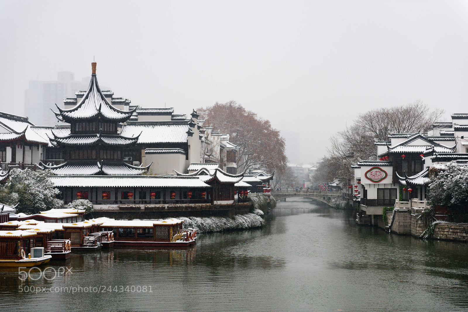 Nikon D810 sample photo. 雪 photography
