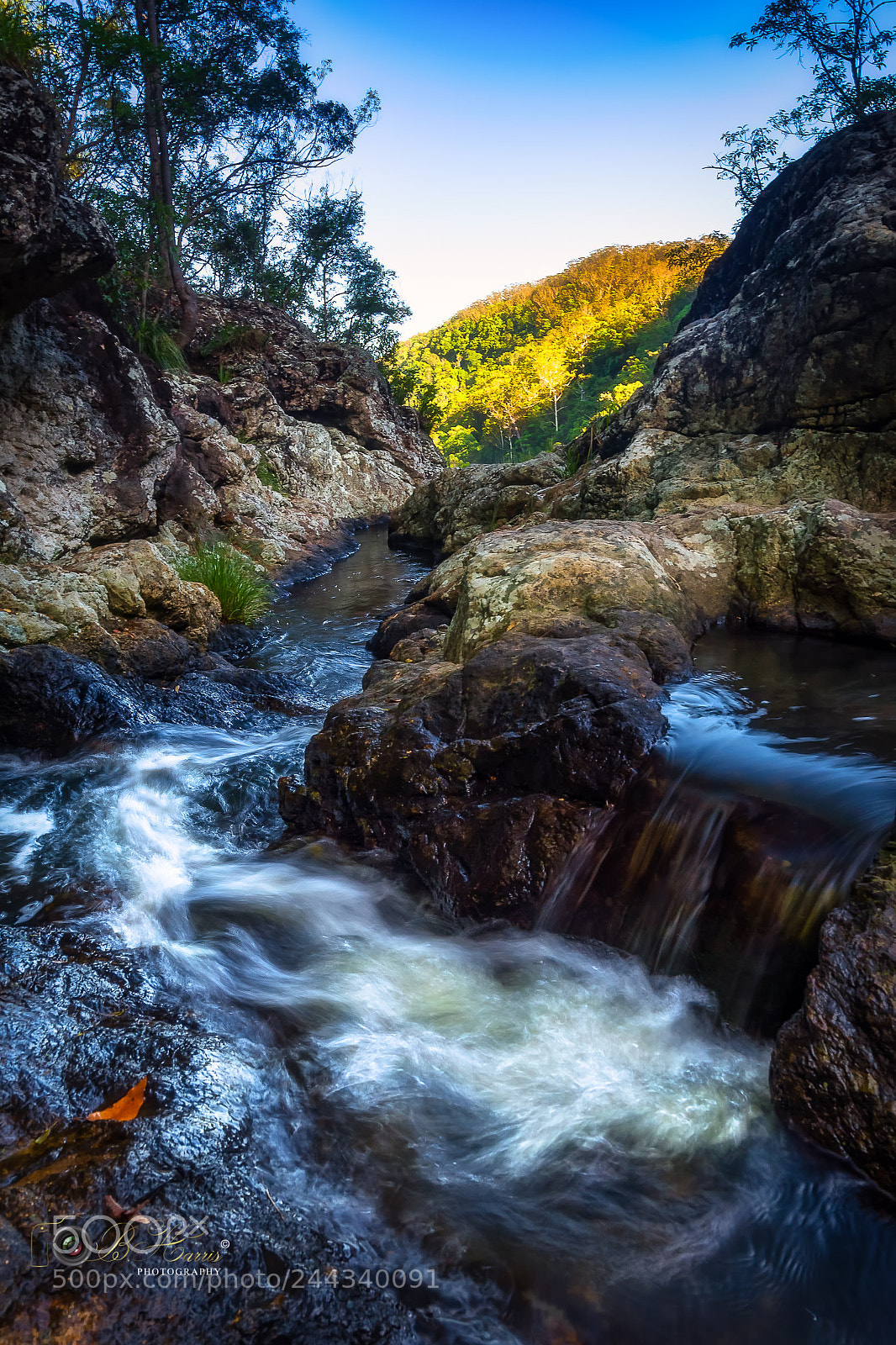 Sony a7 II sample photo. Top of kondalilla falls. photography