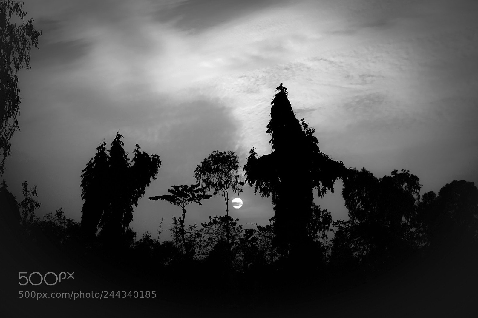 Fujifilm X-T1 sample photo. Untitled photography