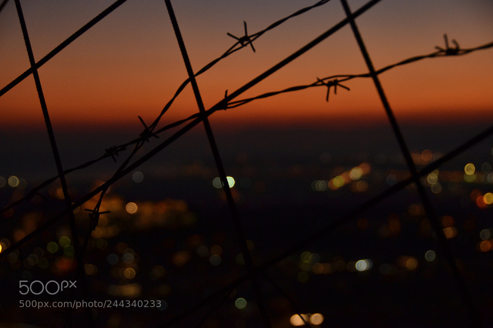 Nikon D3100 sample photo. Athens through wire photography