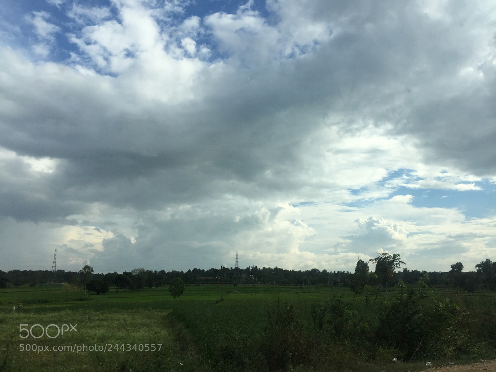 Apple iPhone 6 Plus sample photo. Untitled photography