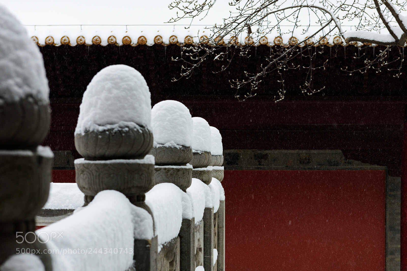 Nikon D810 sample photo. 雪 photography