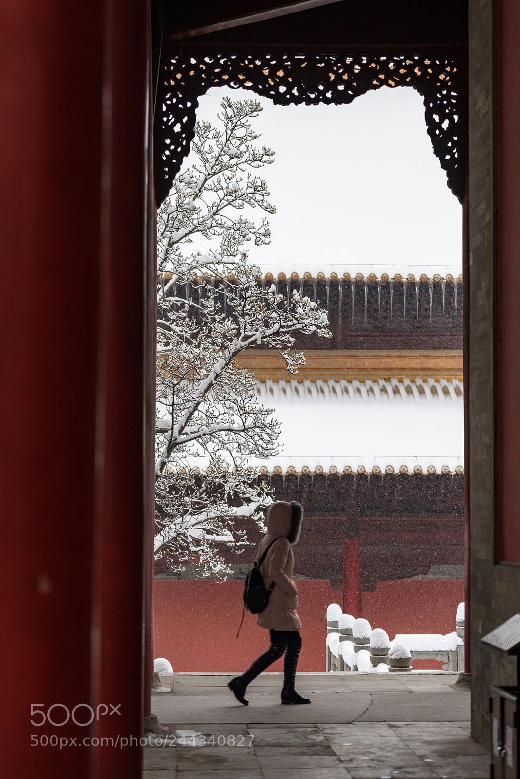 Nikon D810 sample photo. 雪 photography