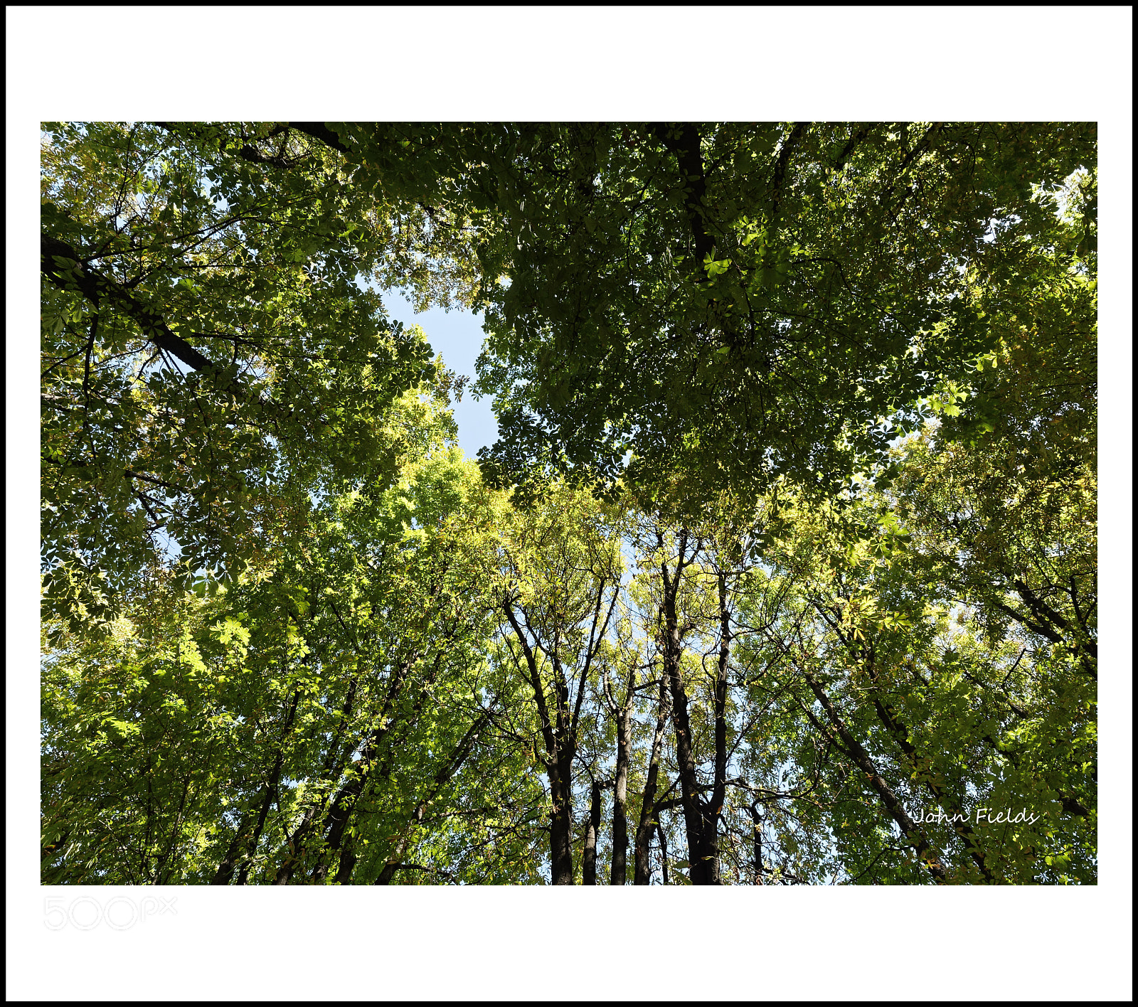 Panasonic Lumix DMC-GX8 sample photo. Milano (41) photography