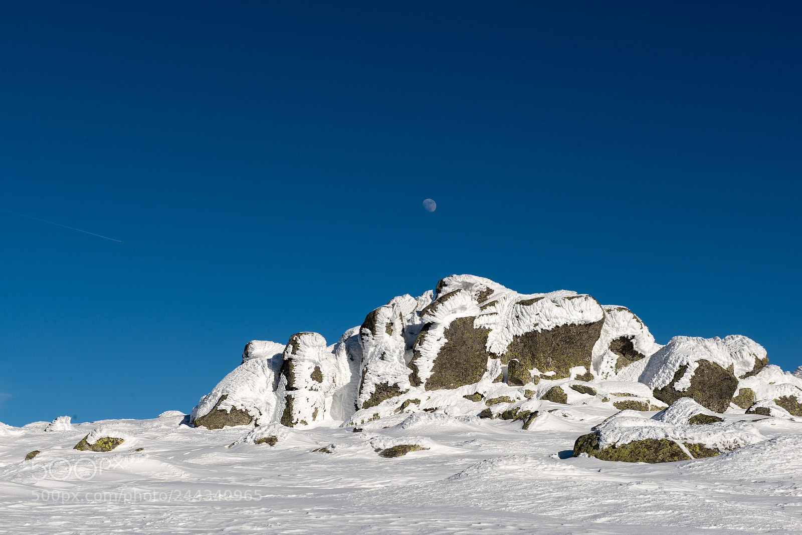 Nikon D800 sample photo. Moonrise photography