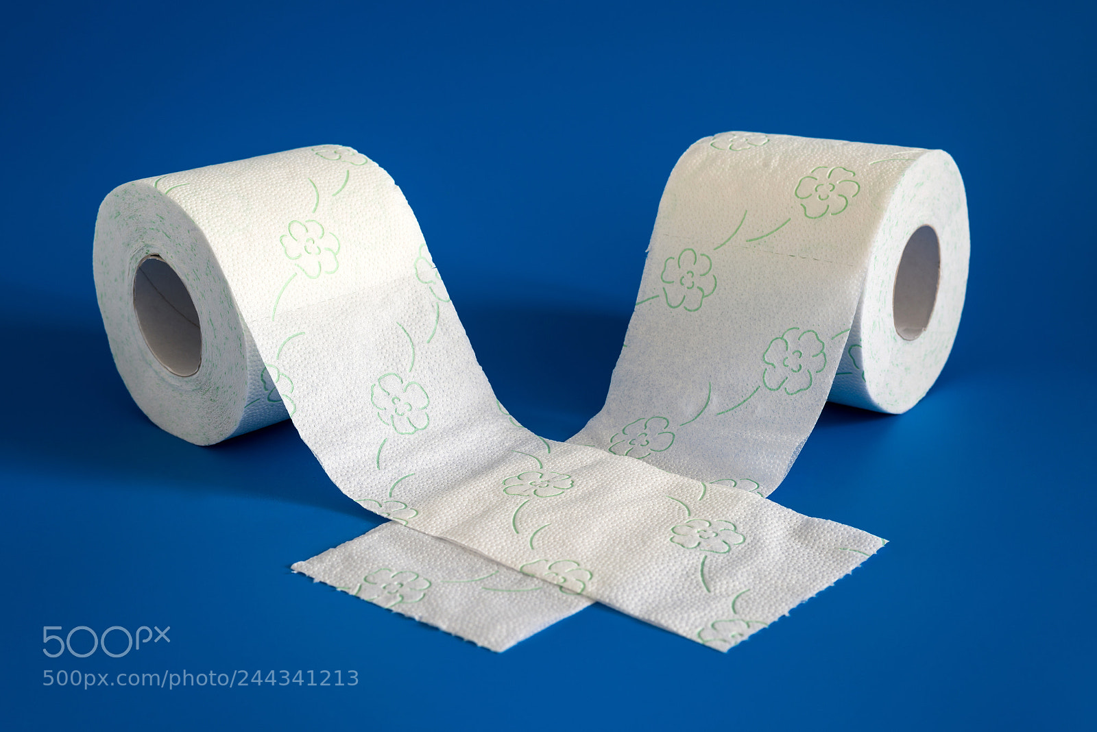 Nikon D600 sample photo. Two roll of white photography