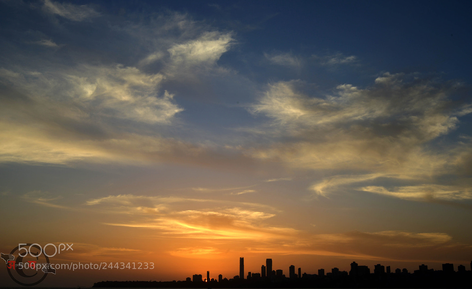 Nikon D800 sample photo. Nature and city life photography