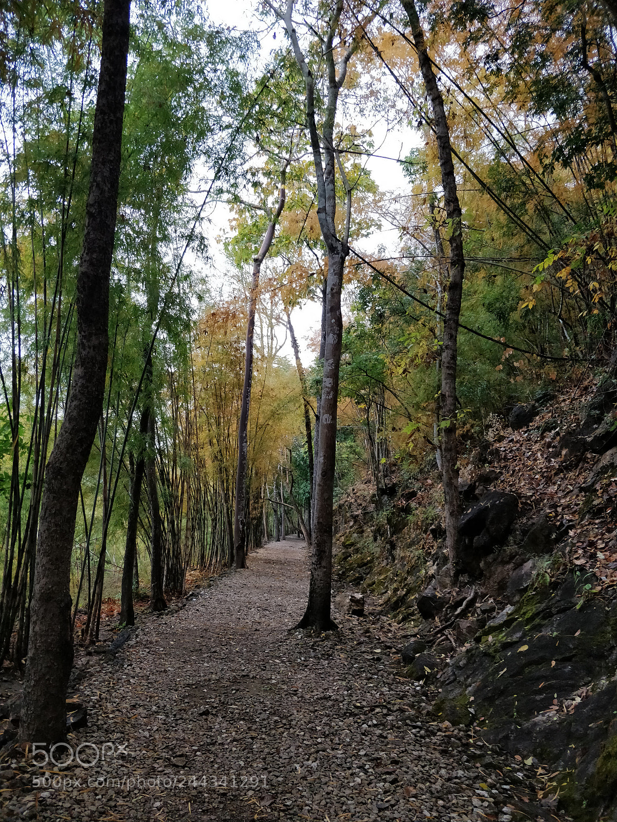 OnePlus 5 sample photo. Hellfire pass walkway photography