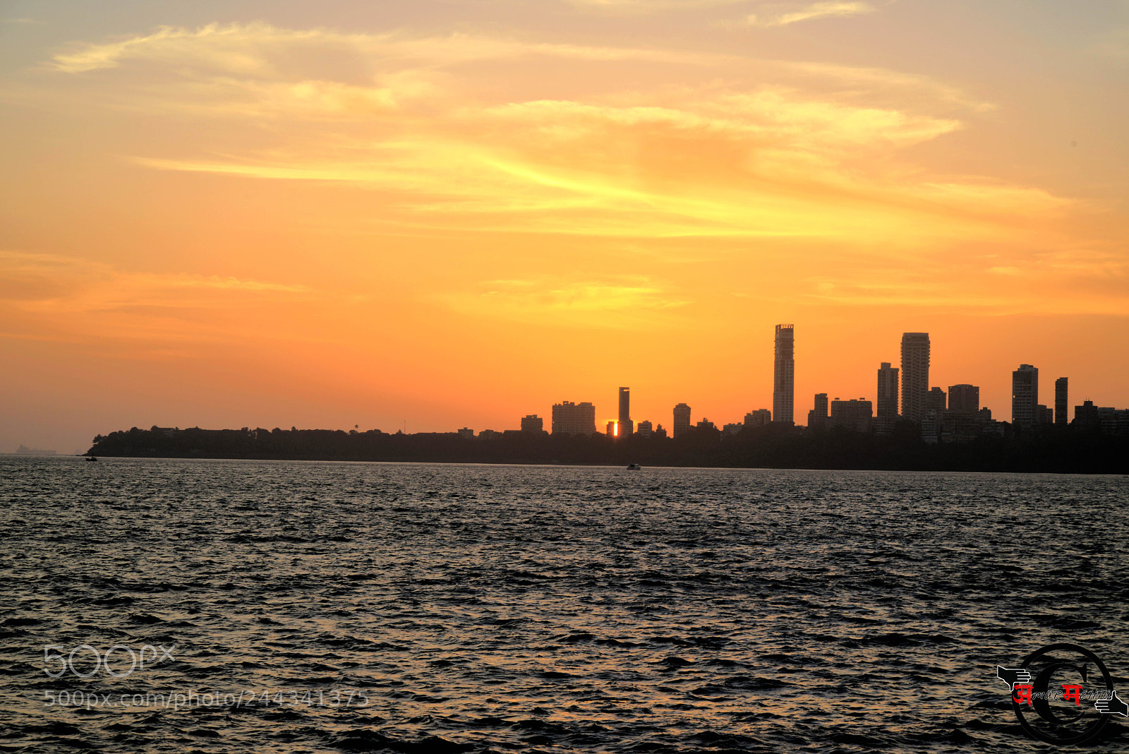 Nikon D800 sample photo. Nature and city life photography