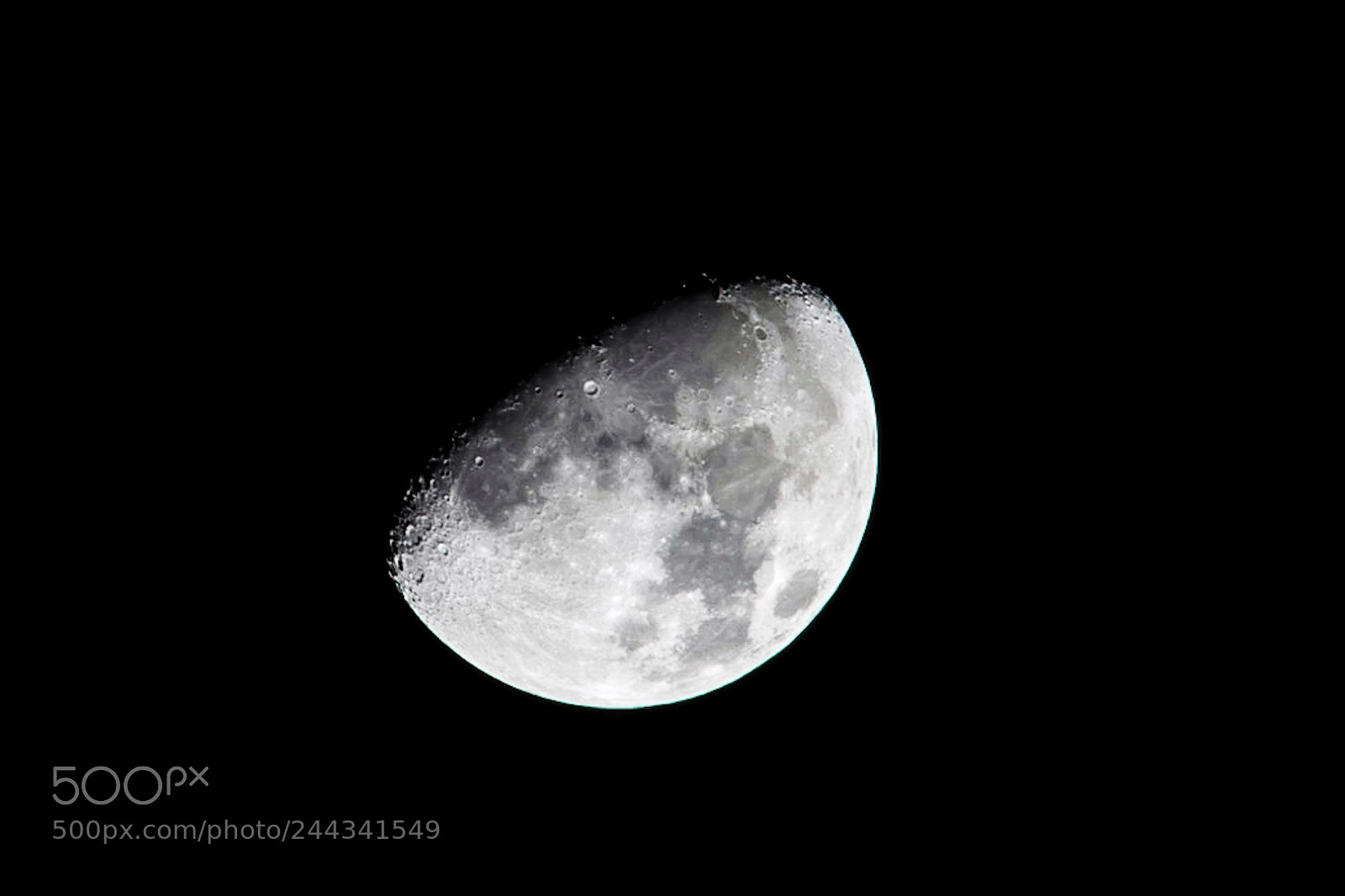 Sony a7R III sample photo. Untitled photography