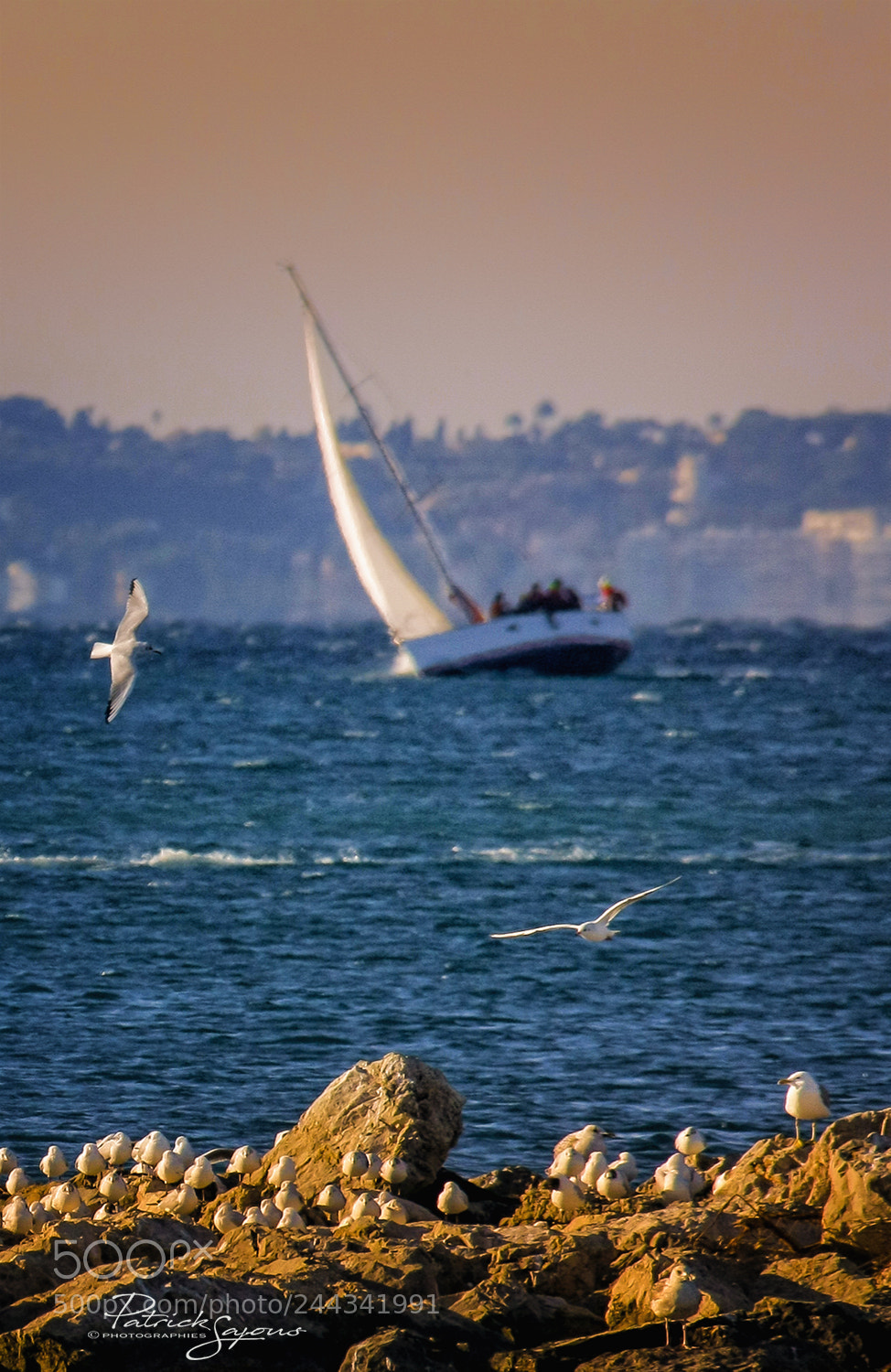 Canon EOS 40D sample photo. Plaisir de la voile photography