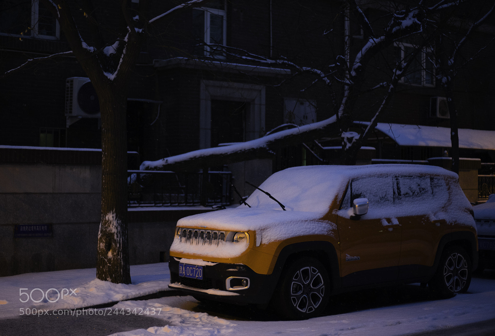 Sony a7 II sample photo. Outbreaking color photography