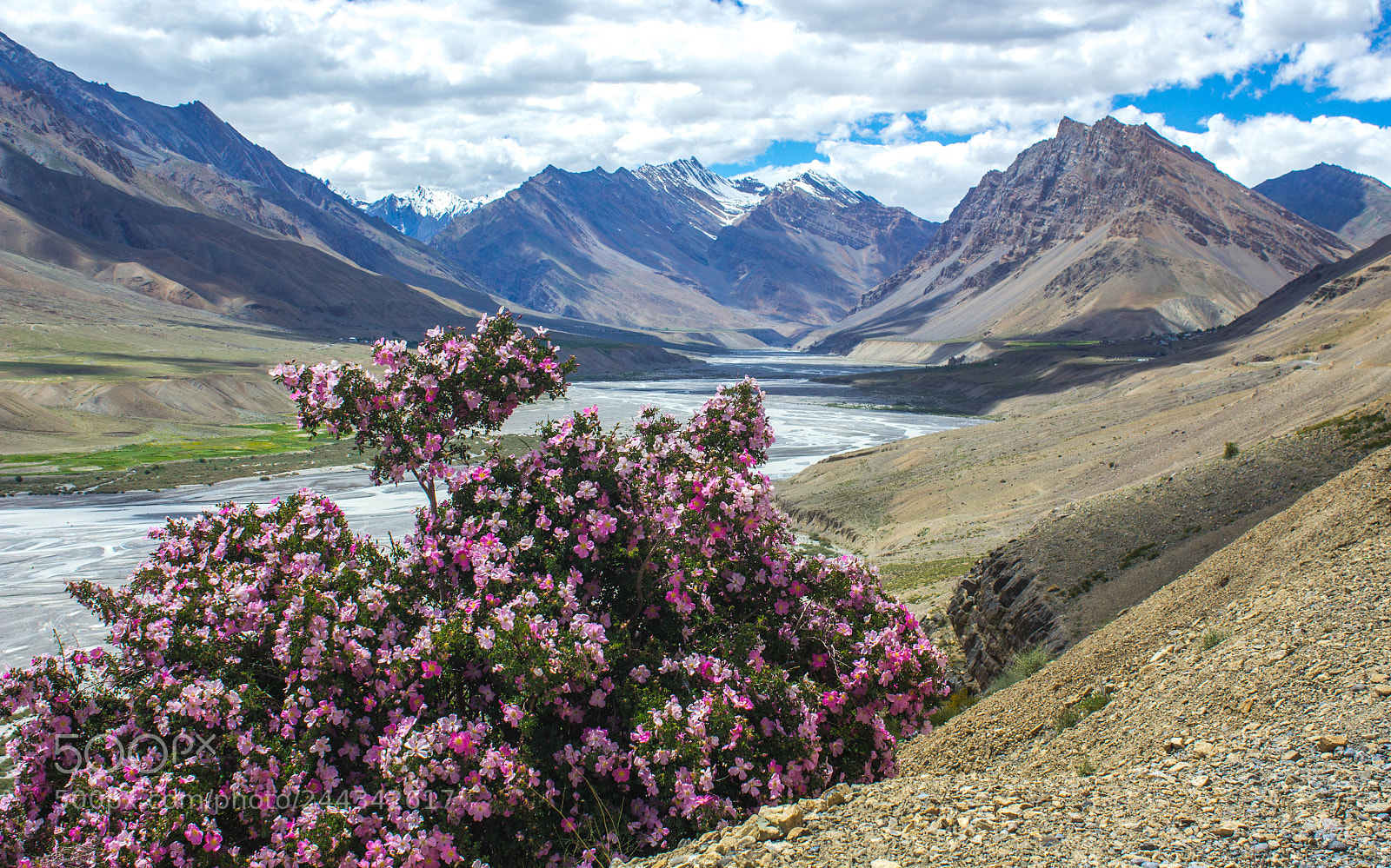 Canon EOS 1200D (EOS Rebel T5 / EOS Kiss X70 / EOS Hi) sample photo. Spiti in autum photography