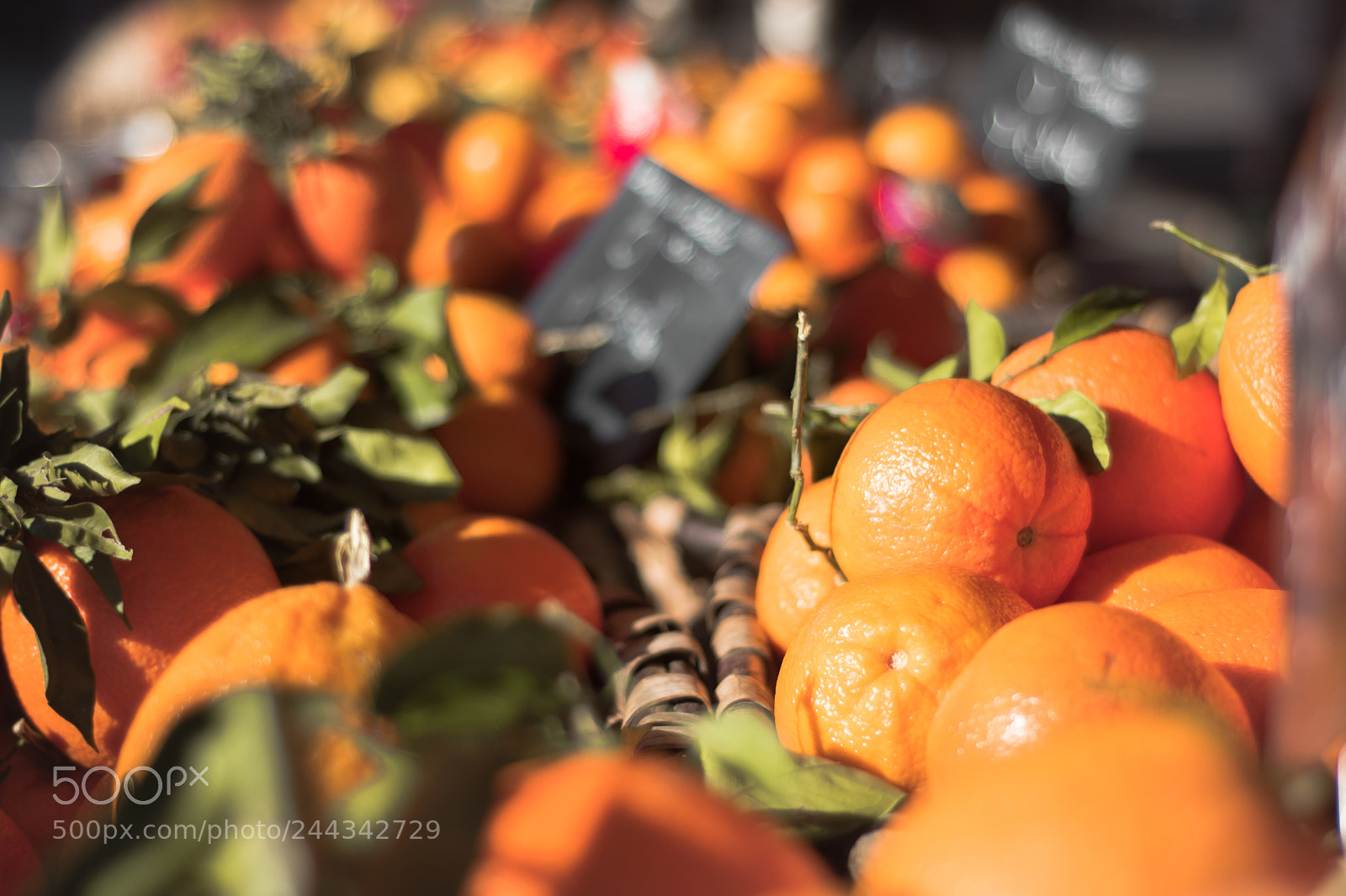 Nikon D5500 sample photo. Orange photography