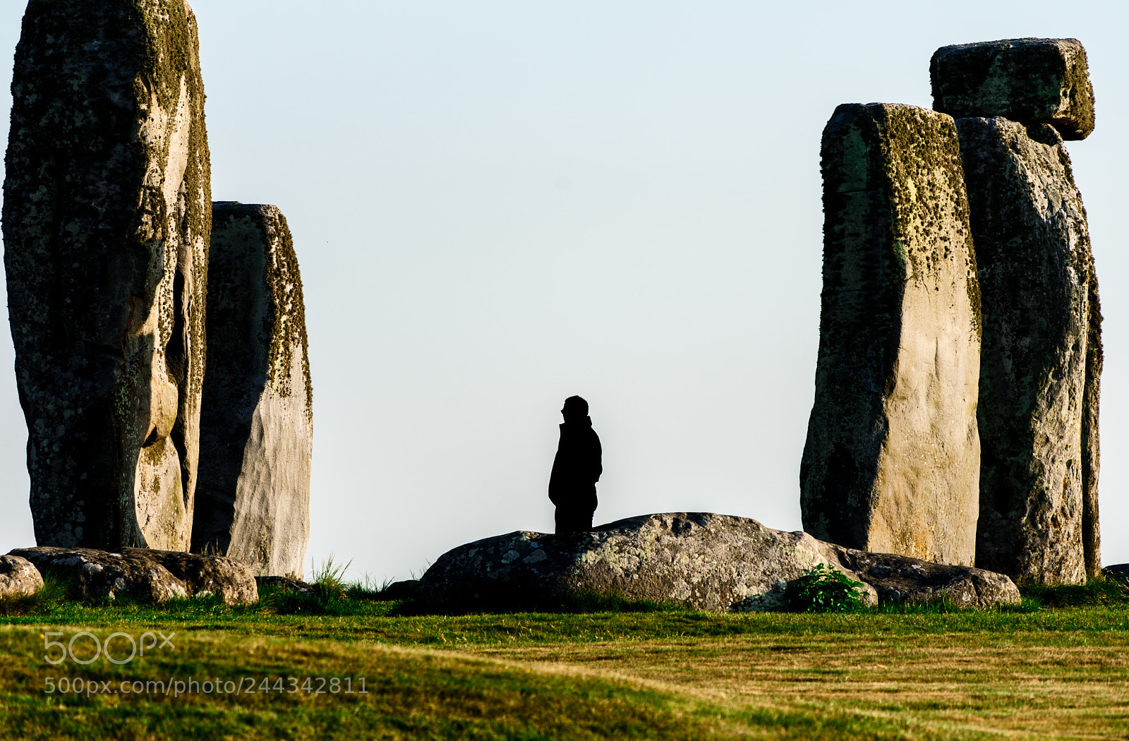 Nikon D7200 sample photo. Untitled photography