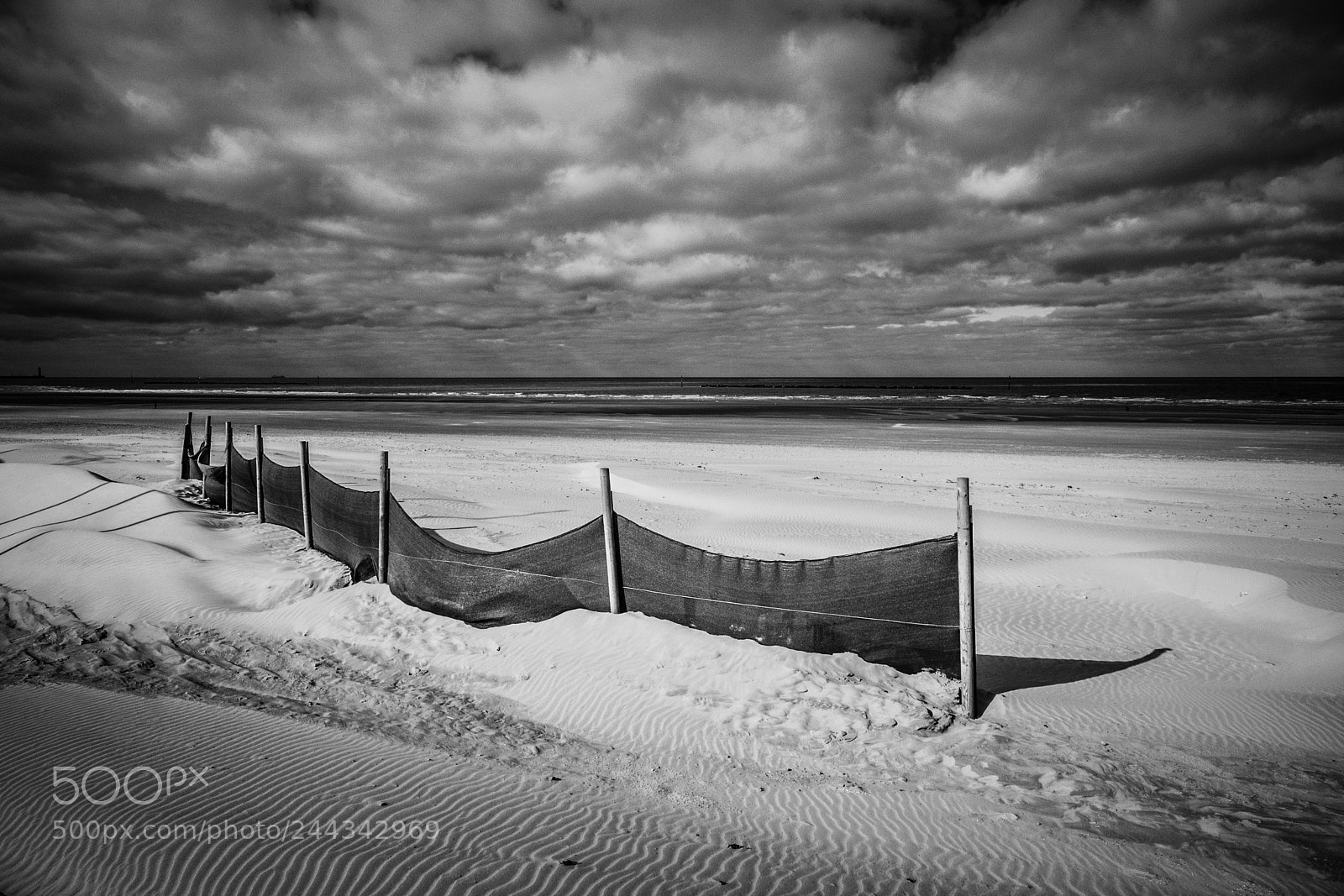 Nikon D7100 sample photo. Fences viii photography