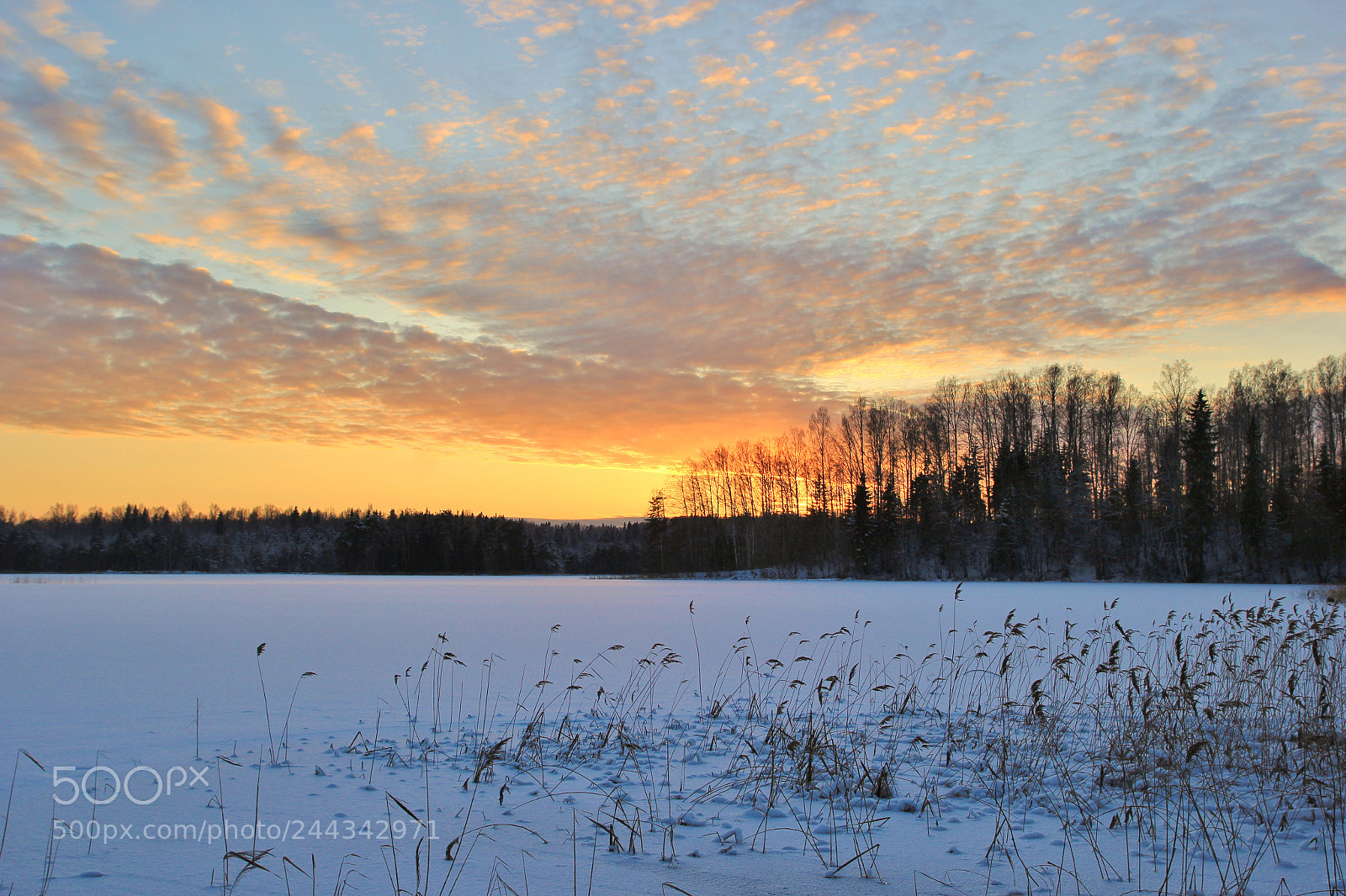 Canon EOS 60D sample photo. Закат photography