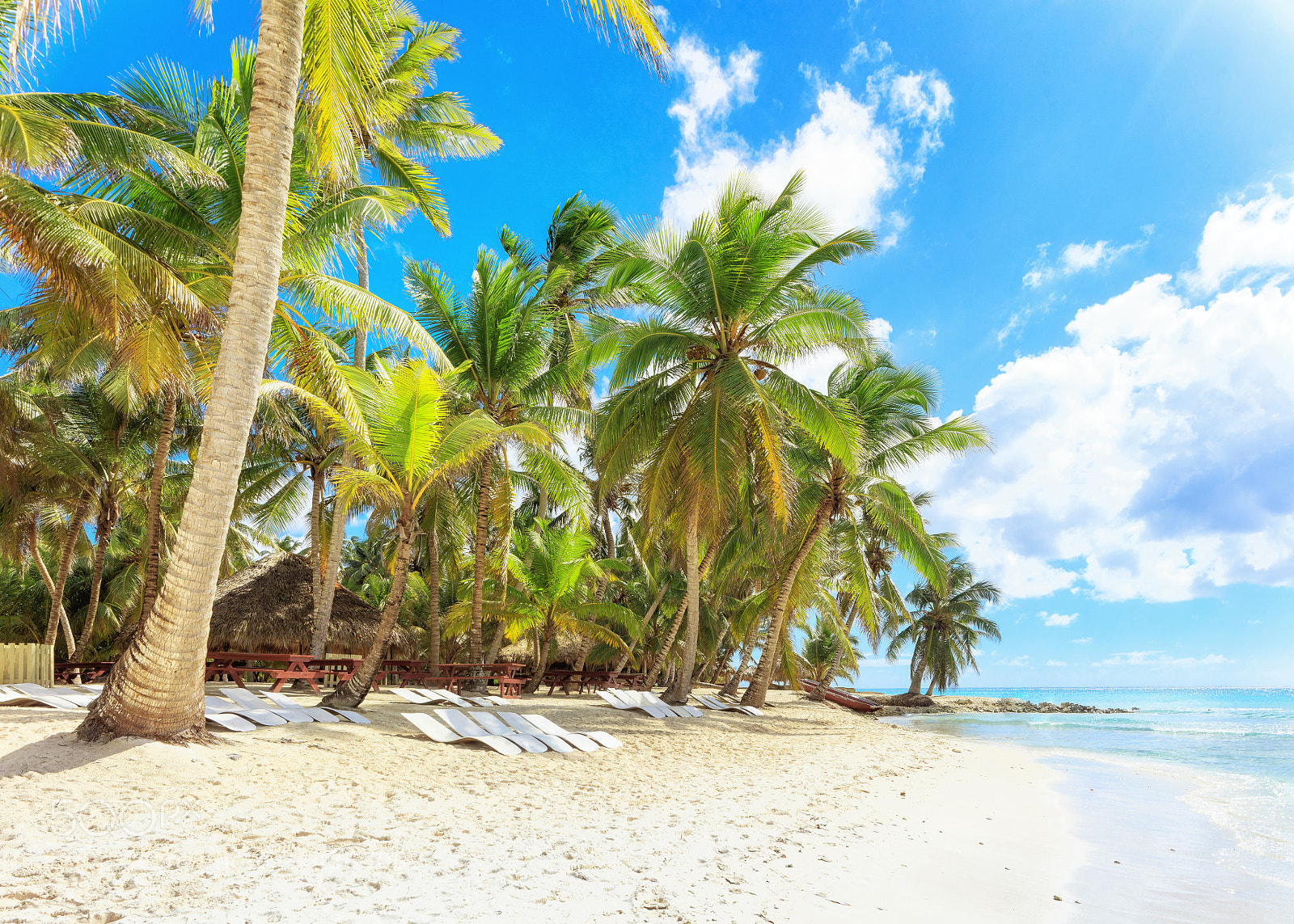 Canon EOS 5DS R sample photo. Vacation in dominican republic photography