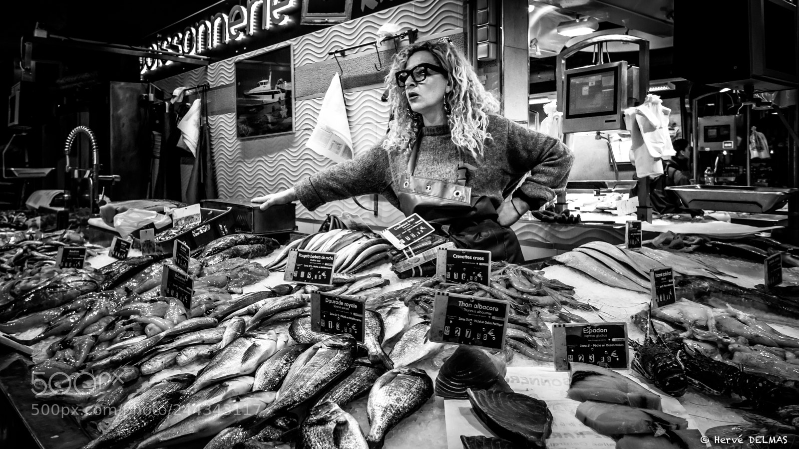 Sony Alpha NEX-7 sample photo. Queenfish photography