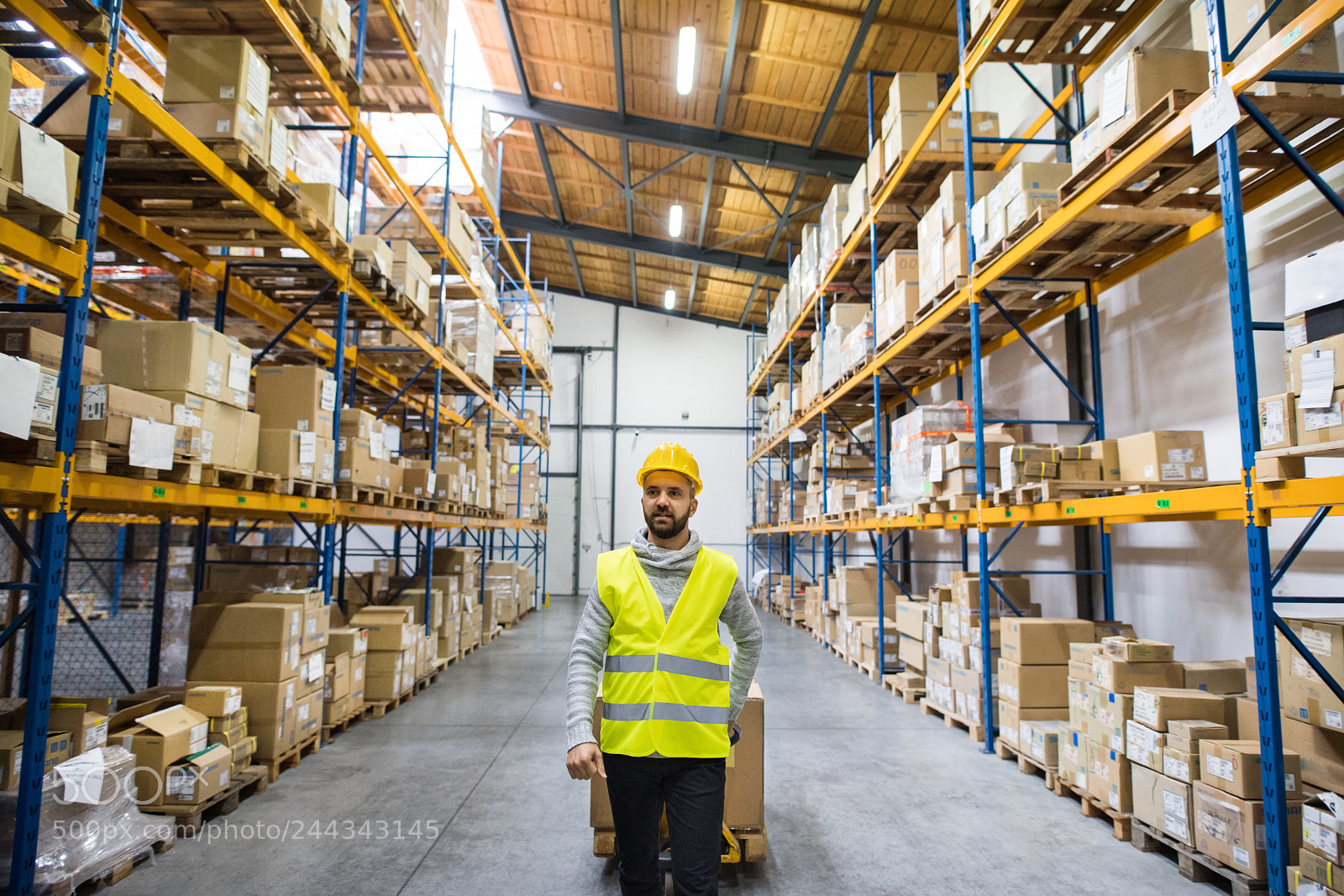 Nikon D5 sample photo. Male warehouse worker pulling photography