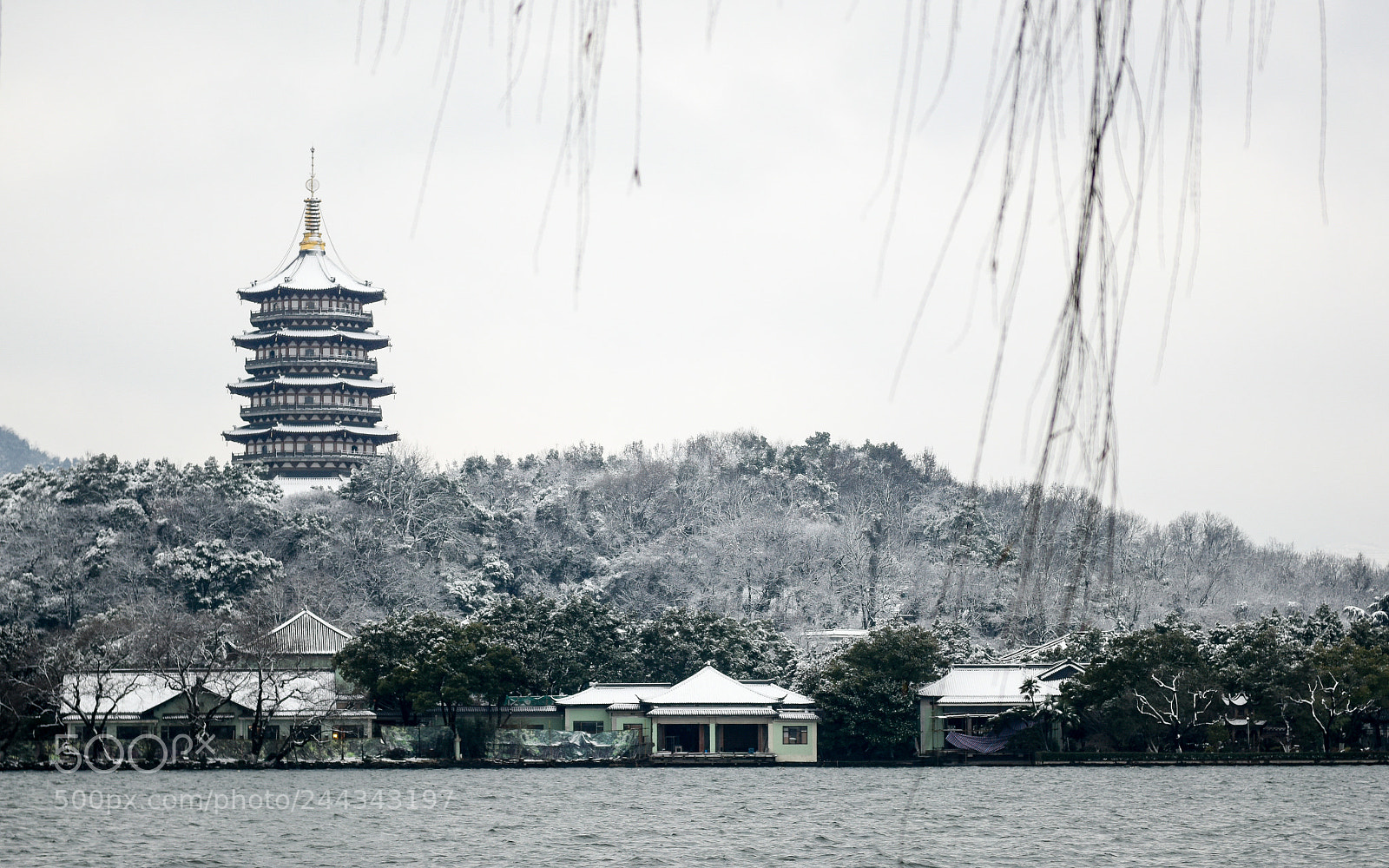 Nikon D810 sample photo. Untitled photography